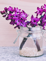 轰炸别人手机号码软件