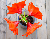 在线手机号轰炸测试